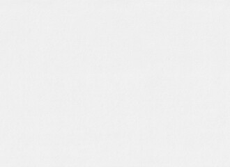 Subtle Off-White Paper Surface Texture