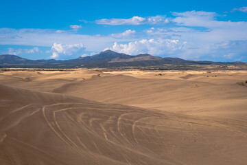 sand dunes in the desert