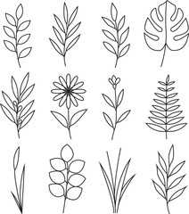 Minimal Botanical Line Art Set — 12 Leaf and Flower Illustrations