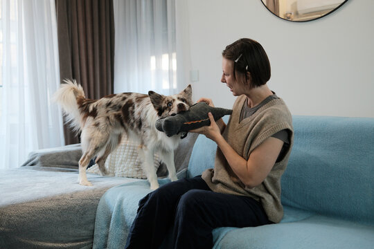 A woman plays a tug game with her border collie holding a plush toy. The moment captures energy, engagement, and playful indoor bonding.