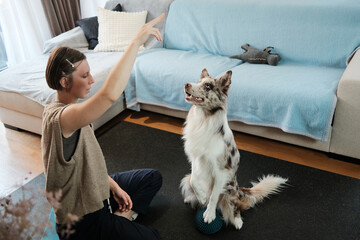 A border collie sits upright on a balance pod while the owner cues the exercise. The moment captures discipline, communication, and structured dog training.
