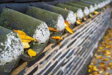 Autumn Yellow Leaves on Traditional Roof Tiles