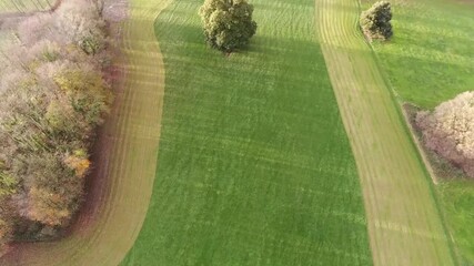 A zoomed out "asteroid" style image that zooms back into earth towards and ending at a mature oak tree within a countryside field