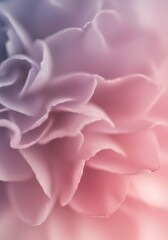 Softly Toned Flower Petals in Dreamy Hues, Captured in Macro Detail