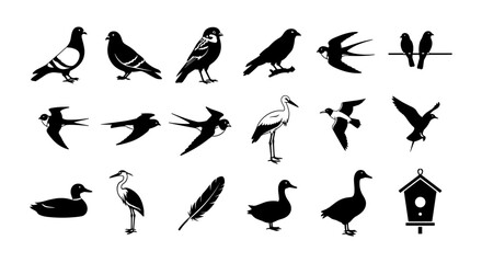 Naklejka premium Silhouette collection of various birds and feathers in minimalist style