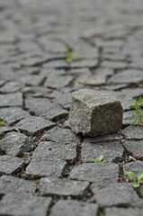 paving stone texture