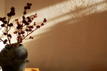 Dried flowers in a vase cast shadows on a textured wall during afternoon light