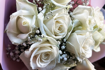 Elegant bouquet of white roses with delicate flowers arranged in soft pink wrapping