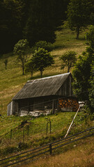 Fototapeta premium old house in the woods