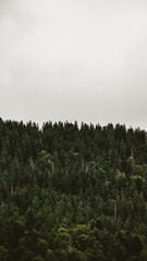time lapse of clouds in the mountains