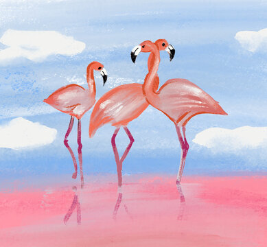 Illustration of Flamingoes on the pink LakeS in Yucatan, Mexico