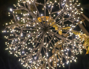 Macro Shot of Christmas Lights in the Dark