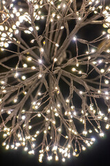 Macro Shot of Christmas Lights in the Dark