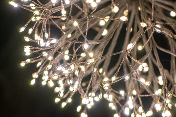 Macro Shot of Christmas Lights in the Dark