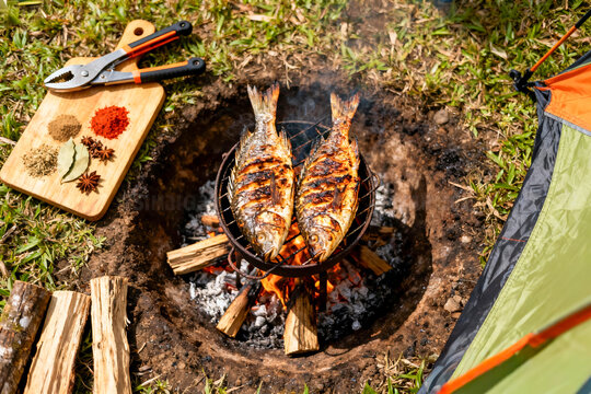 A small barbeque with two fresh sea bream fish (ikan nila) on the grill