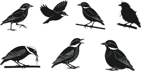 Obraz premium Set of Eight Small Bird Silhouettes Vector Illustration, Various Styles and Poses Including Flying, Perching, and Feeding, Detailed Avian Wildlife Nature Graphics Collection