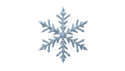 A shimmering snowflake with intricate details against a stark black background, centered and isolated