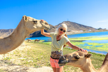 Woman touching and petting Dromedary camels at Mughsayl Beach in Oman close to Salalah. Enjoying a unique travel experience with wild animals and desert landscape under a clear blue sky in dry season.