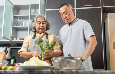 Senior couple preparing fresh vegetables together in home kitchen, Elderly couple cooking healthy meal with fresh ingredients, Active senior lifestyle with older adults making homemade food in kitchen