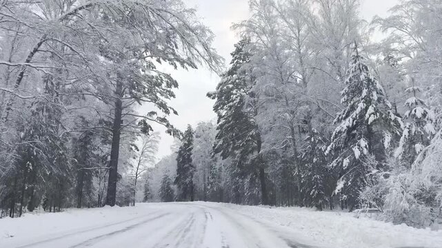 Straight winter road framed by heavy snow on tree branches provides strong commercial value for transport, weather, climate and outdoor travel themes. The shot emphasizes forest infrastructure, season