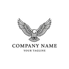 Elegant Eagle Logo Design with Spread Wings.