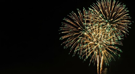 Gold and teal fireworks burst in the dark night sky