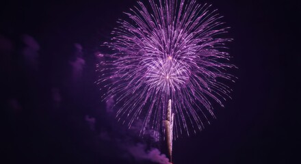 Fototapeta premium Purple fireworks explosion against a dark night sky