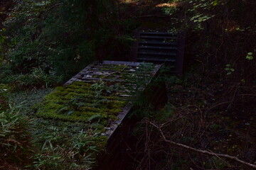 山奥の森にひっそりと佇む苔むした廃構造物