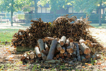 庭の薪