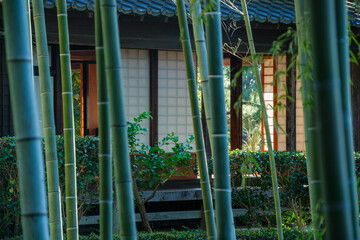 竹林の座敷