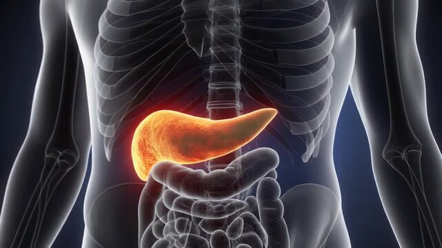 Detailed 3D Animation Illustrating Pancreas Malfunction and Chronic Disease Progression in Human Anatomy