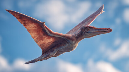 Fototapeta premium Dimorphodon flying through a bright clear sky, prehistoric pterosaur in motion with detailed wings and natural lighting. Ancient wildlife concept, dynamic aerial scene, realistic illustration.