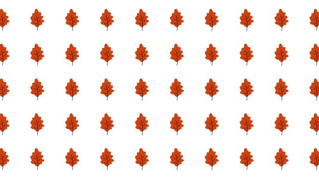 Suitable for autumn design projects, nature themes, fall decorations, and seasonal promotions. Rows of small brown or red oak leaves arranged beautifully.