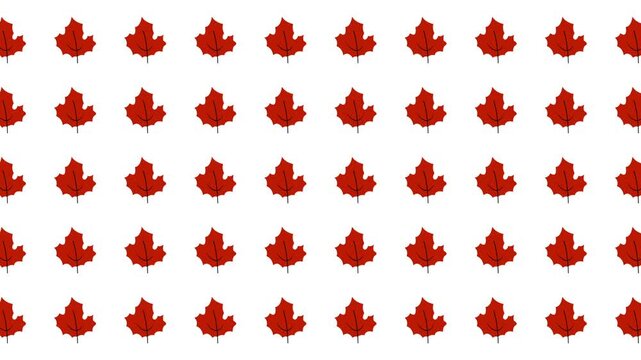 Repeating pattern of red maple leaves on white suitable for fallthemed designs, packaging, stationery, textiles, and digital backgrounds.