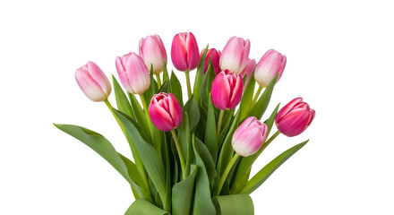Fototapeta premium Bouquet of pink and red tulips isolated on transparent background for design