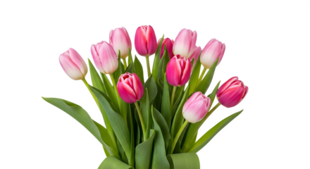 Bouquet of pink and red tulips isolated on transparent background for design