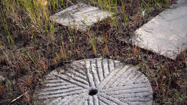 A round millstone lies buried in the ground, its surface clearly marked, surrounded by wild grass that has accompanied it year after year.
