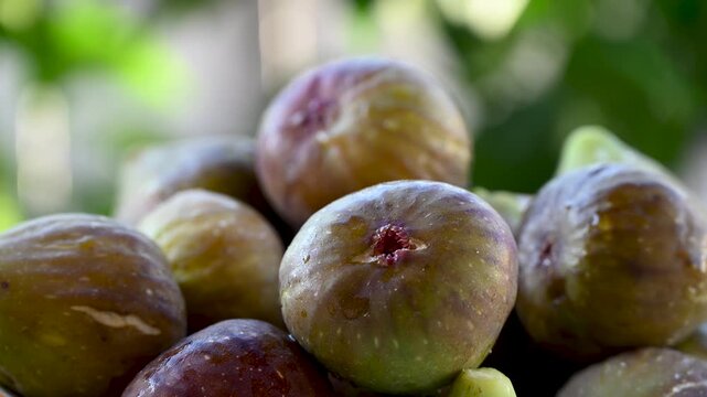 Fresh, ripe figs are arranged in a bowl, showcasing their rich color and soft, juicy texture.