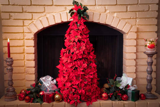 Poinsettias form a Christmas tree on a hearth on a fireplace.
