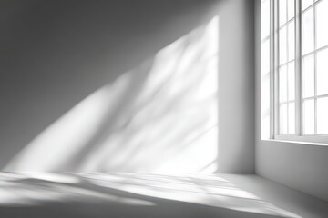 Empty White Room Corner with Sunlight Streaming Through a Window Casting Leaf Shadows on the Wall and Floor with Bright and Airy Atmosphere