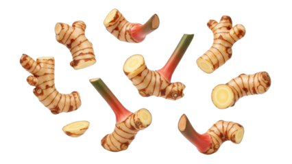 Isolated galangal roots composition with natural texture and earthy tones on a clean white backdrop showcasing its vibrant colors and unique form