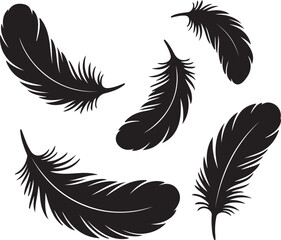 Obraz premium Feather icon set in black silhouette on transparent isolated background