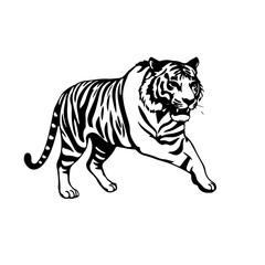 tiger vector illustration