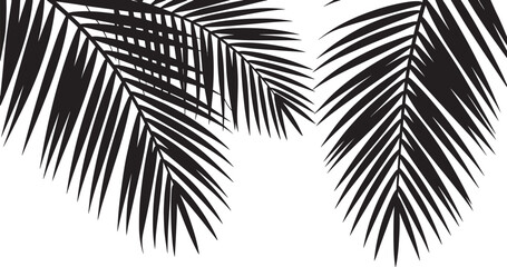 Tropical palm leaves border silhouette vector – black fern leaf frame with space for text, summer nature botanical background design © Rojob