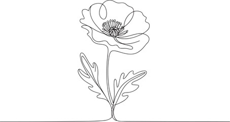 Poppy flower continuous line art vector – elegant botanical minimal outline illustration for spring, nature, or floral design concept