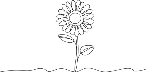 Daisy flower continuous line art vector – simple elegant floral design outline for nature, botanical, or spring decoration illustration