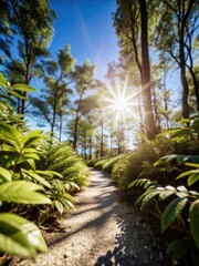 Lush forest path illuminated by warm sunlight and surrounded by vibrant green foliage