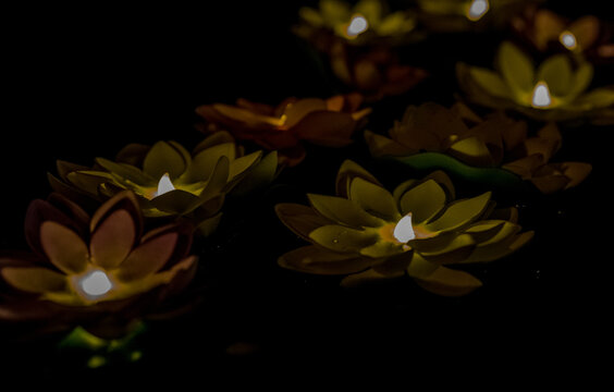 Illuminated lotus flower swimming pool decorations. 