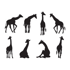 “Set of Giraffe Silhouette Poses on White Background”