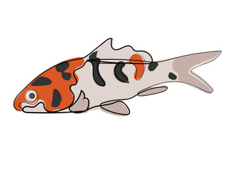 Koi fish in a continuous line drawing style